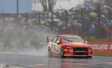 Pleasure and Pain in Pukekohe