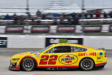 Blue-Emu Maximum Pain Relief 400 photo gallery