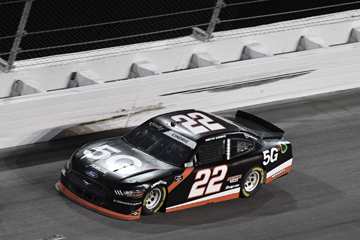 Beef. It’s What’s for Dinner 300 photo gallery