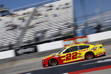 Blu-Emu Maximum Pain Relief 500 photo gallery