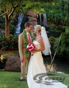 Photo courtesy of Michael Andrews