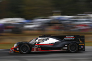 Petit Le Mans